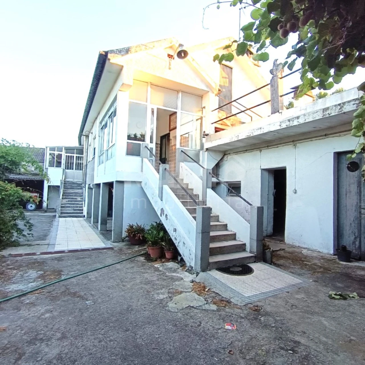 Quinta T5 para Venda em Alvarães Foto 1