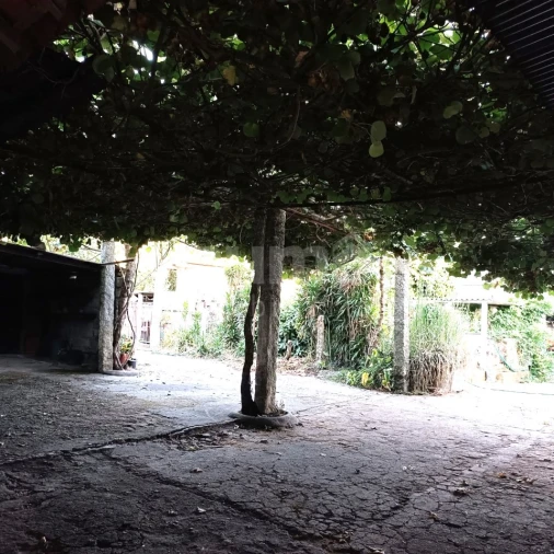 Quinta T5 para Venda em Alvarães Foto 3