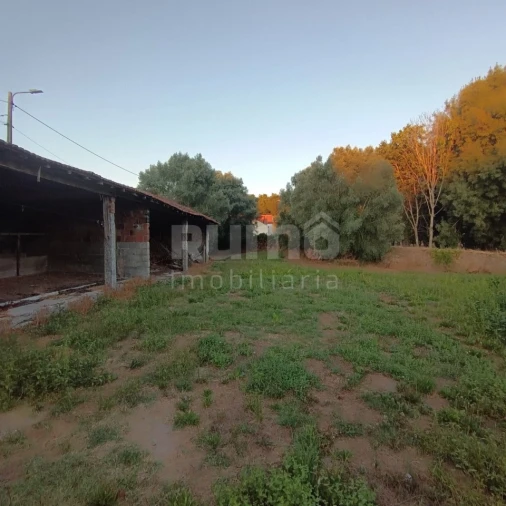 Quinta T5 para Venda em Alvarães Foto 29