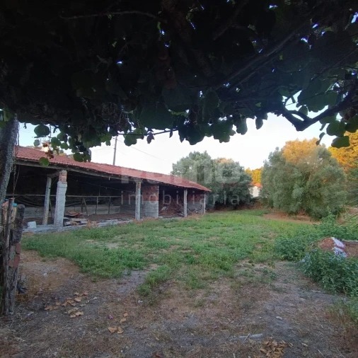 Quinta T5 para Venda em Alvarães Foto 30