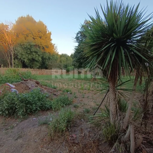 Quinta T5 para Venda em Alvarães Foto 32