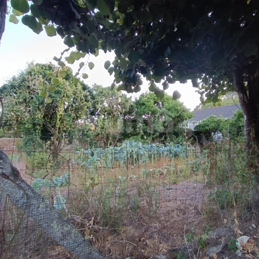 Quinta T5 para Venda em Alvarães Foto 34