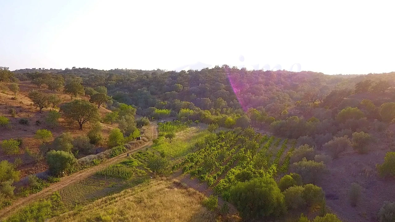 Terreno para Venda em Azinhal Foto 13
