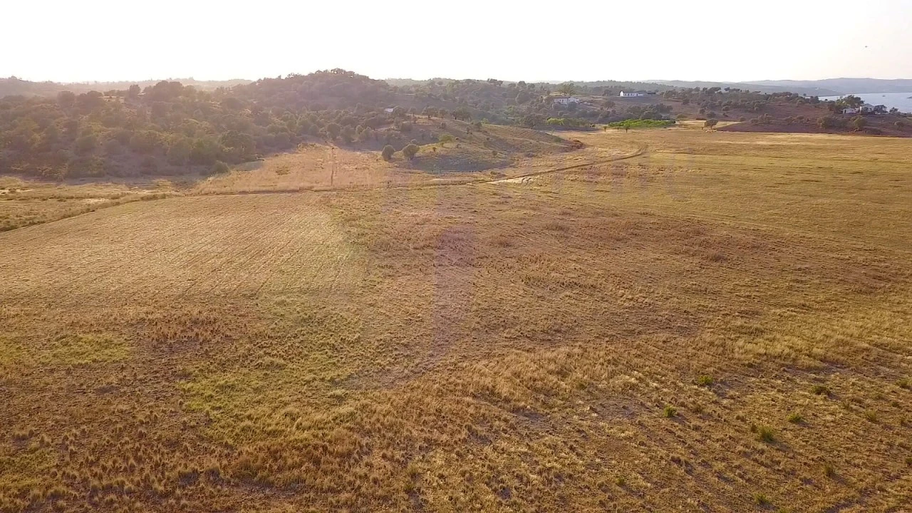 Terreno para Venda em Azinhal Foto 14