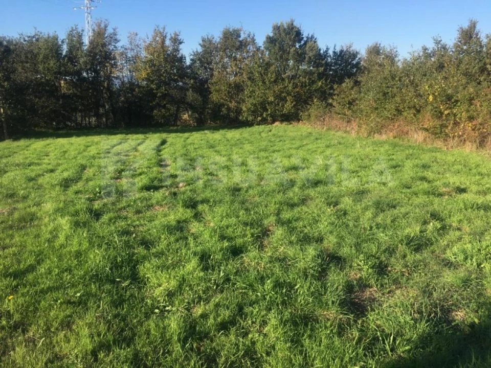 Terreno para Venda em Cerdal Foto 3