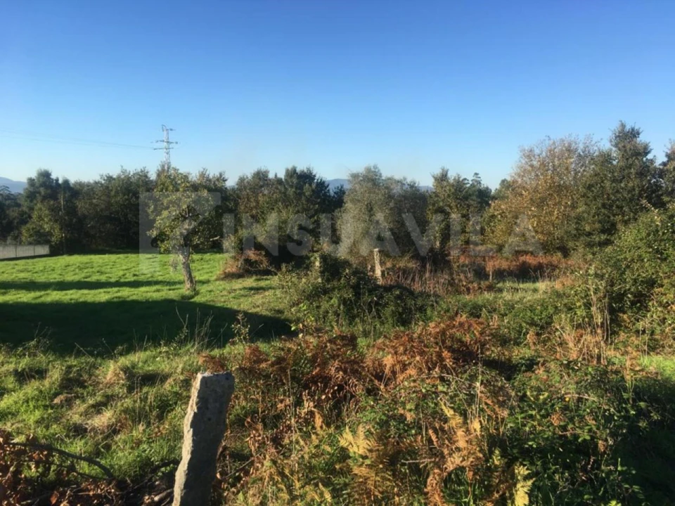 Terreno para Venda em Cerdal Foto 7