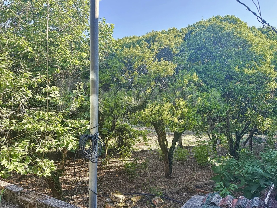 Moradia T3 para Venda em Vila Praia de Ancora Foto 32