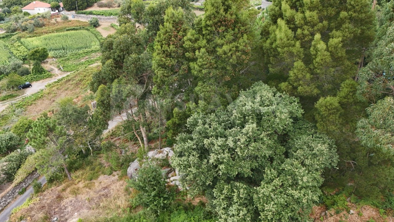 Terreno para Venda em Riba de Ancora Foto 7