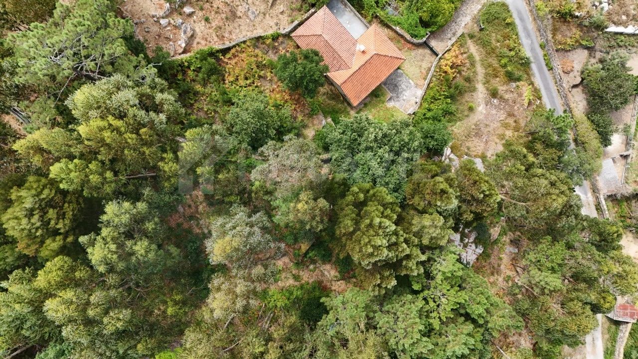 Terreno para Venda em Riba de Ancora Foto 10