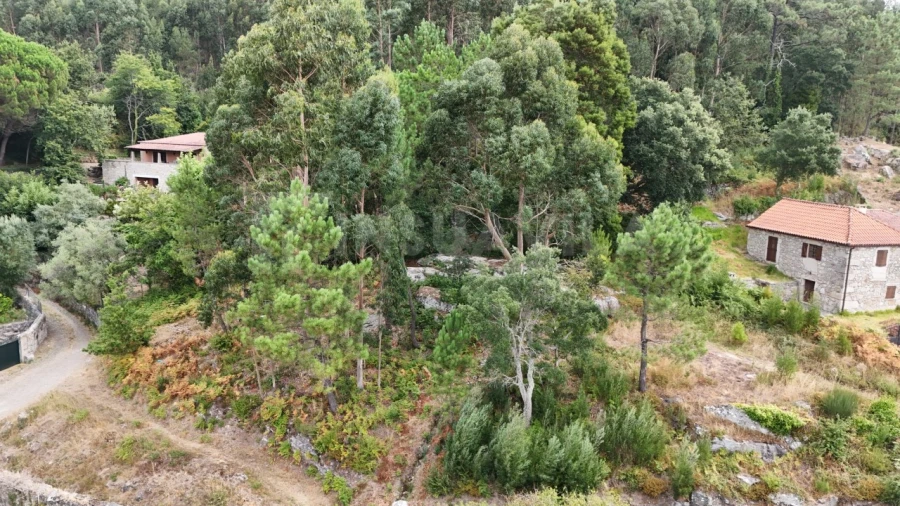 Terreno para Venda em Riba de Ancora Foto 4
