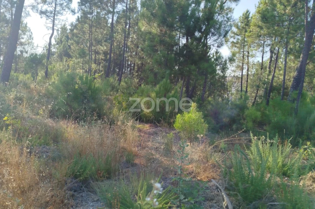 Terreno para Venda em Santiago de Cassurrães e Póvoa de Cervães Foto 15