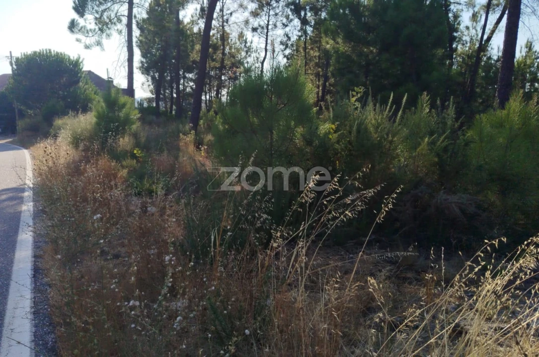 Terreno para Venda em Santiago de Cassurrães e Póvoa de Cervães Foto 17