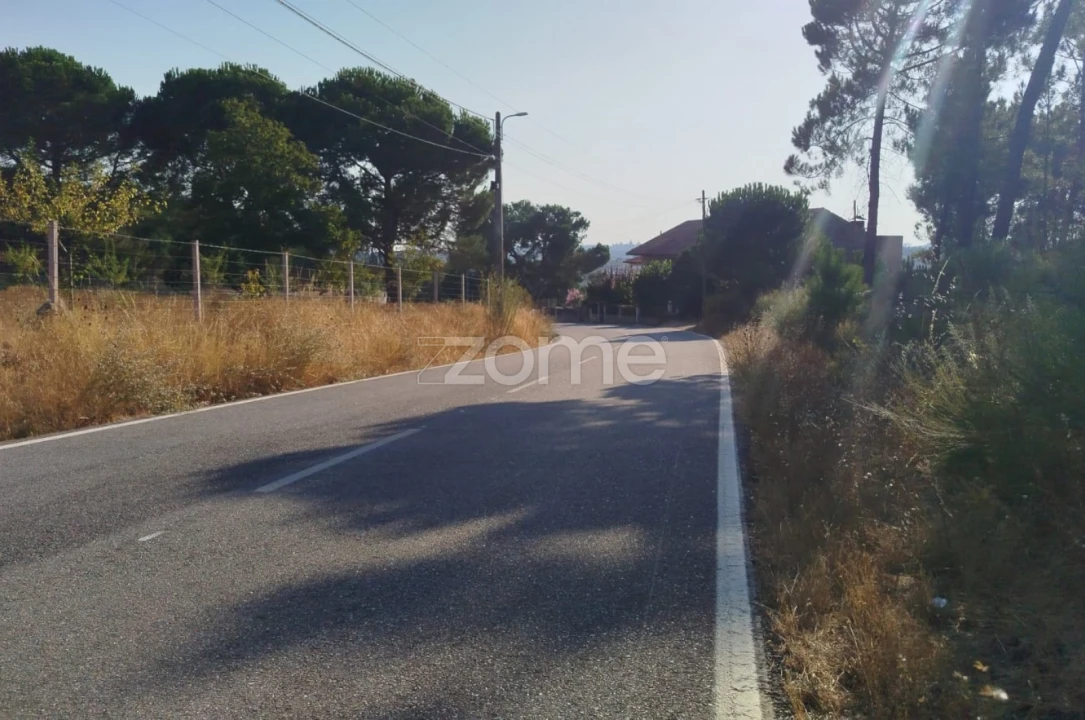 Terreno para Venda em Santiago de Cassurrães e Póvoa de Cervães Foto 30