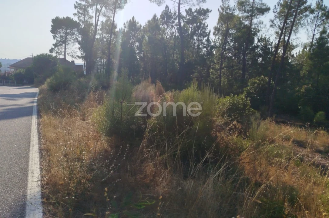 Terreno para Venda em Santiago de Cassurrães e Póvoa de Cervães Foto 23