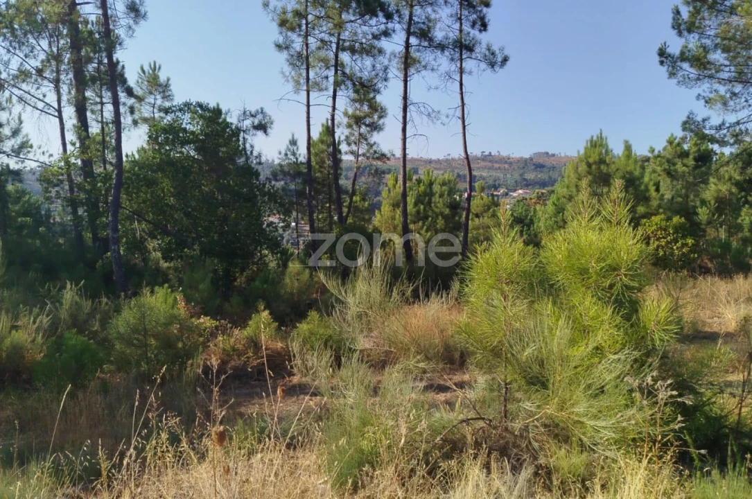 Terreno para Venda em Santiago de Cassurrães e Póvoa de Cervães Foto 1