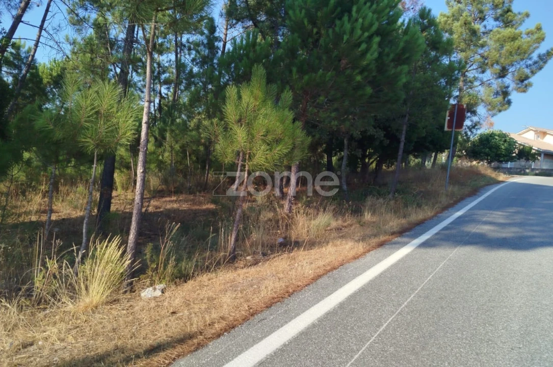 Terreno para Venda em Santiago de Cassurrães e Póvoa de Cervães Foto 29