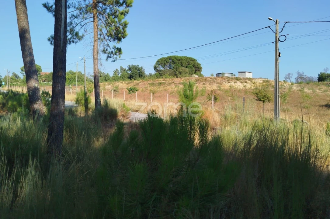 Terreno para Venda em Santiago de Cassurrães e Póvoa de Cervães Foto 8