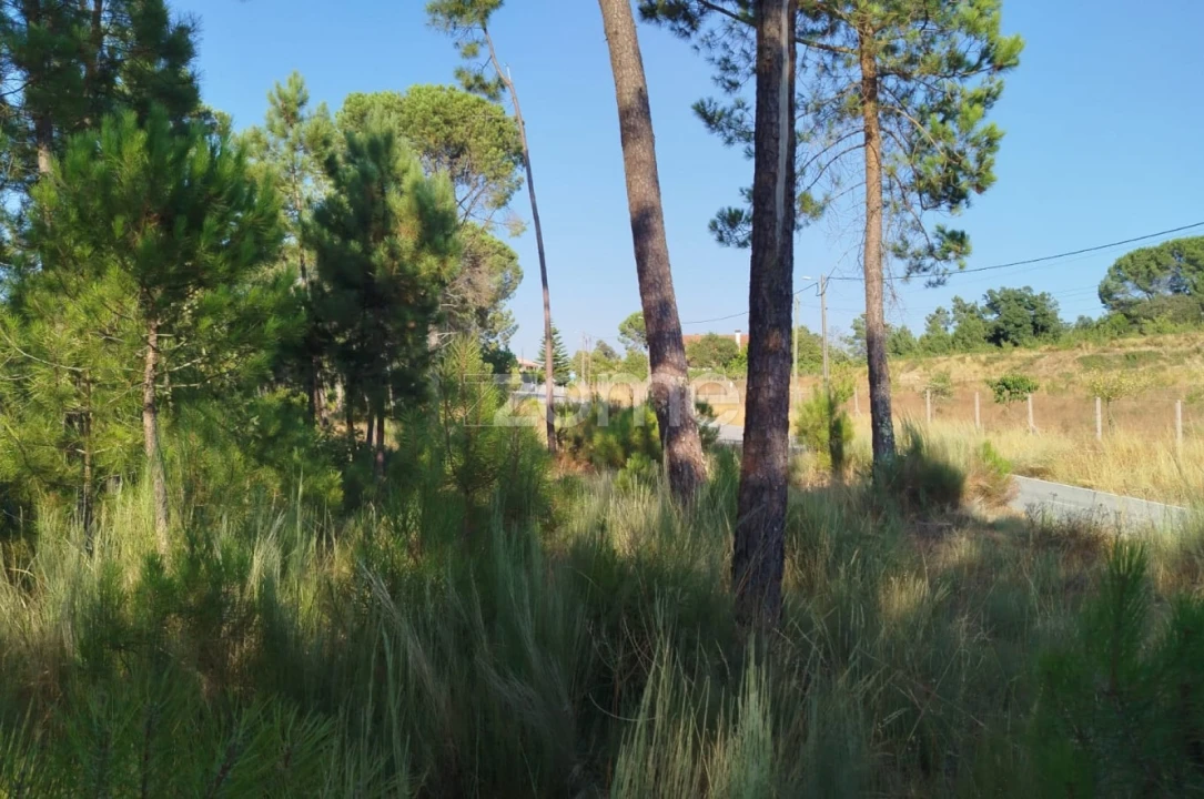 Terreno para Venda em Santiago de Cassurrães e Póvoa de Cervães Foto 10