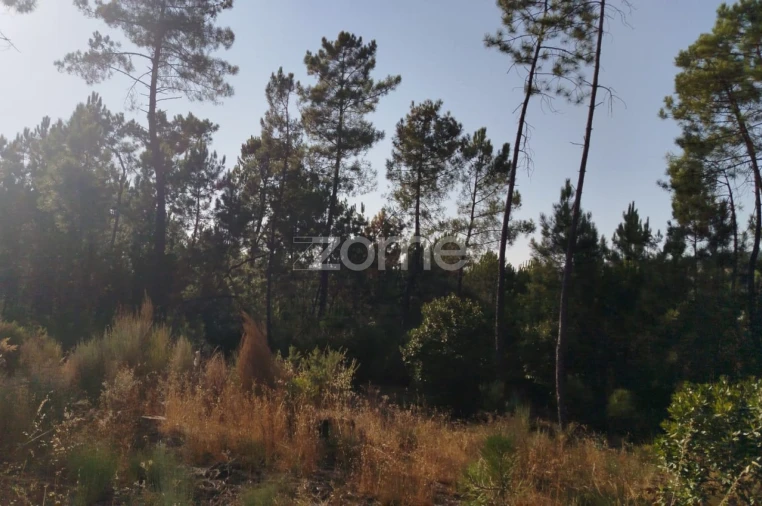 Terreno para Venda em Santiago de Cassurrães e Póvoa de Cervães Foto 22