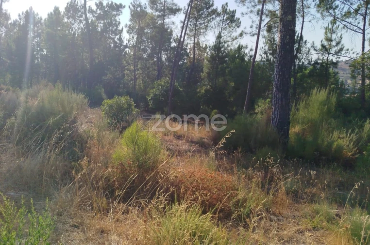 Terreno para Venda em Santiago de Cassurrães e Póvoa de Cervães Foto 24