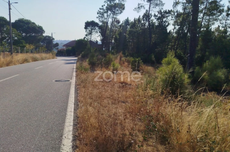 Terreno para Venda em Santiago de Cassurrães e Póvoa de Cervães Foto 28