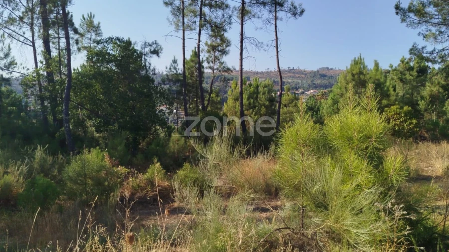 Terreno para Venda em Santiago de Cassurrães e Póvoa de Cervães
