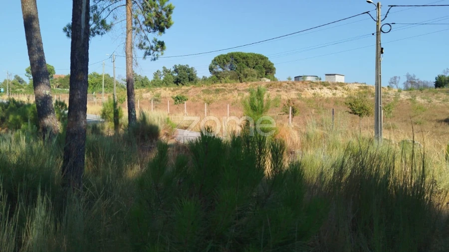 Terreno para Venda em Santiago de Cassurrães e Póvoa de Cervães