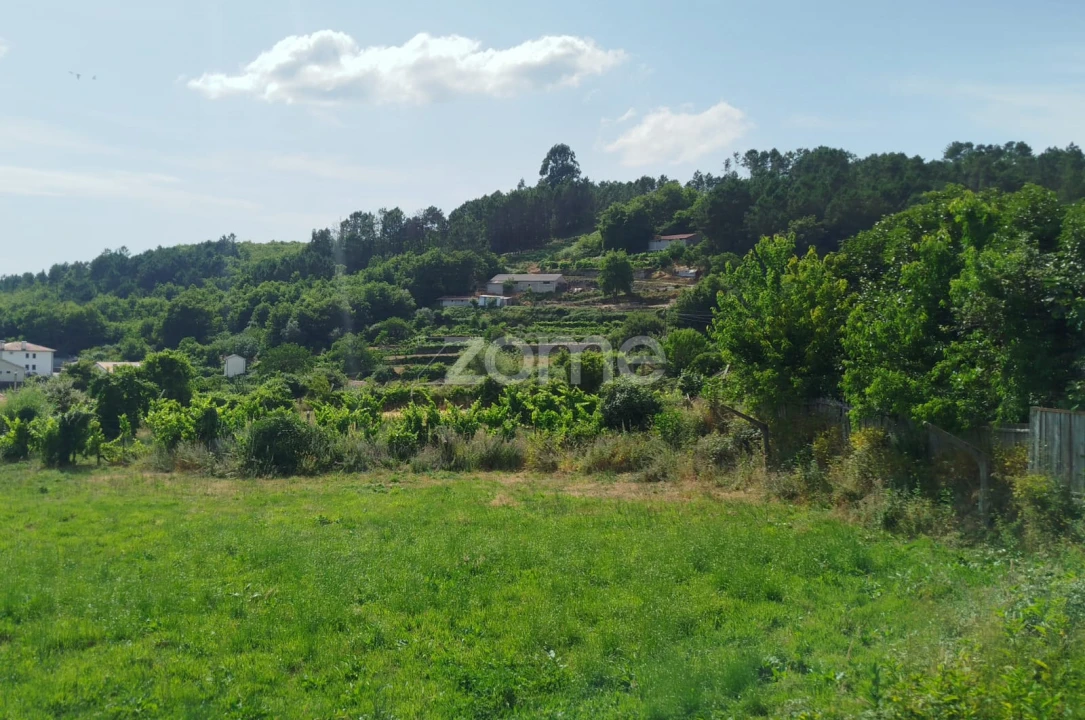 Moradia T3 para Venda em Castro Daire Foto 27