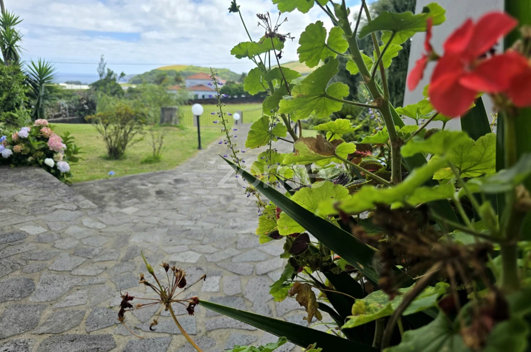 Moradia T3 para Venda em Rabo de Peixe Foto 24