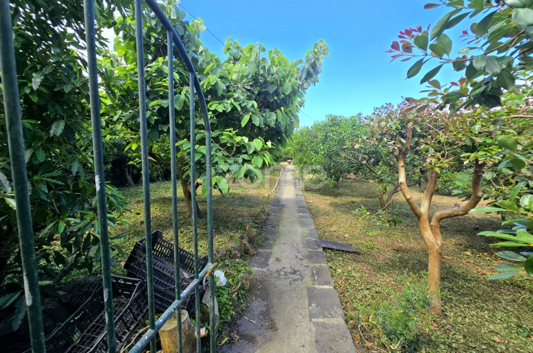 Moradia T3 para Venda em Rabo de Peixe Foto 28