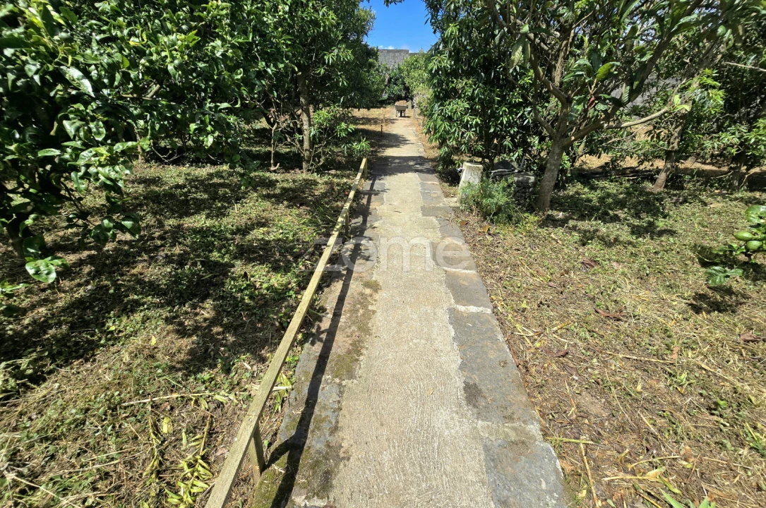 Moradia T3 para Venda em Rabo de Peixe Foto 30