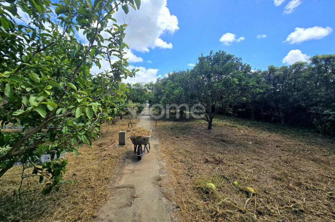 Moradia T3 para Venda em Rabo de Peixe Foto 31