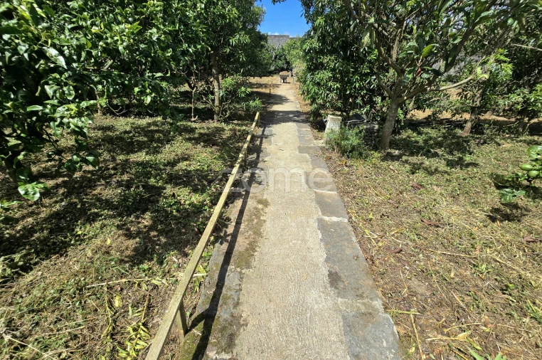 Moradia T3 para Venda em Rabo de Peixe Foto 30