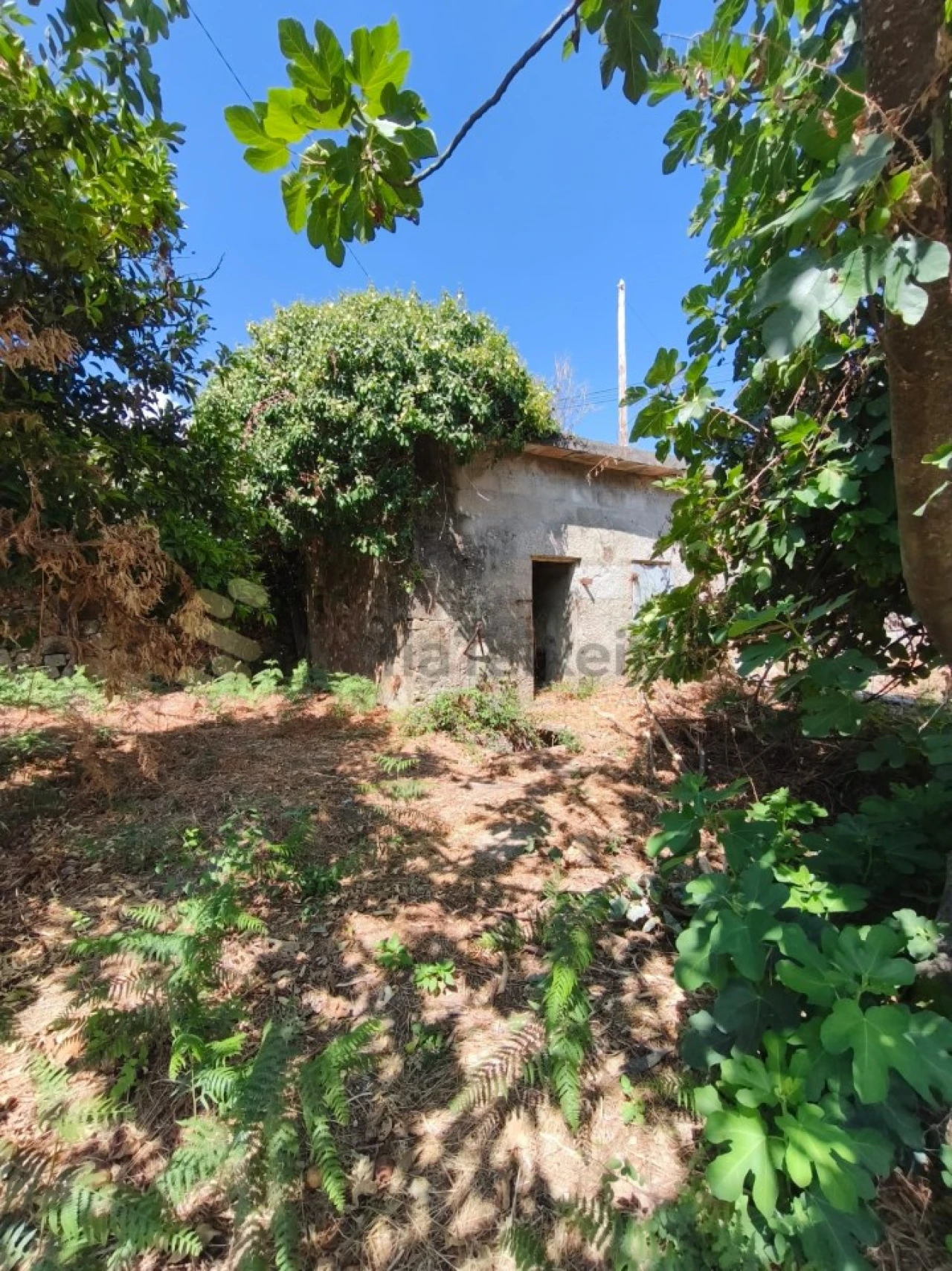 Quinta para Venda em Guilhufe e Urrô Foto 15