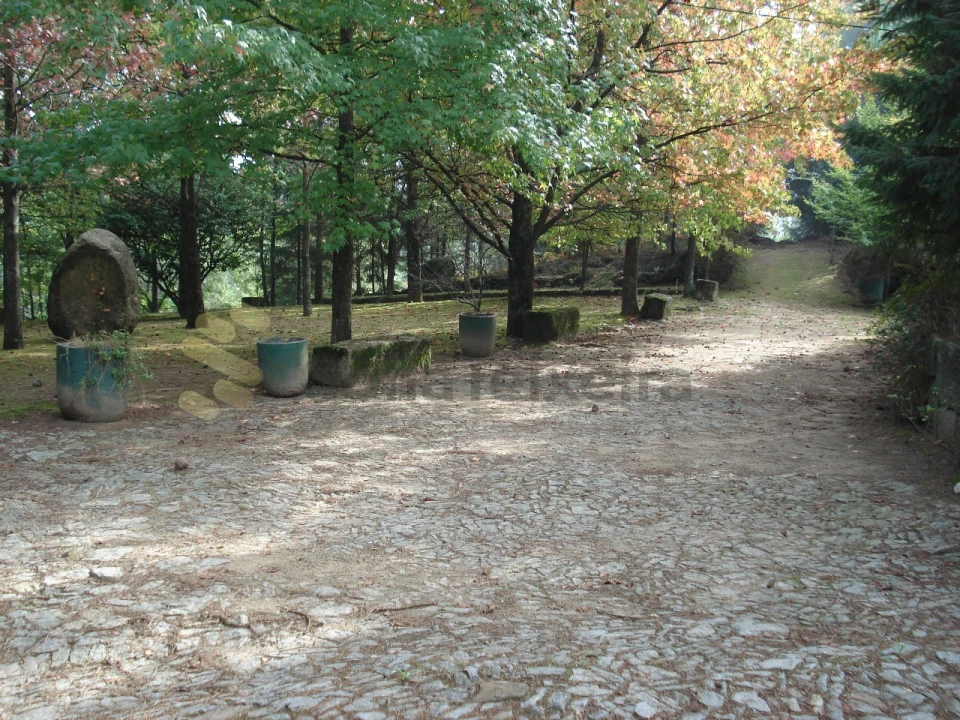 Quinta para Venda em Paço de Sousa Foto 10