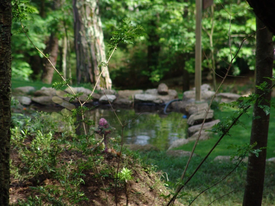 Quinta para Venda em Paço de Sousa Foto 11
