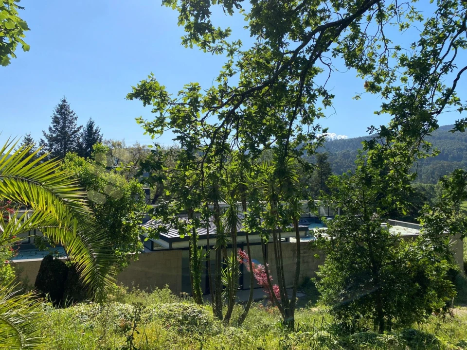 Quinta para Venda em Paço de Sousa Foto 12