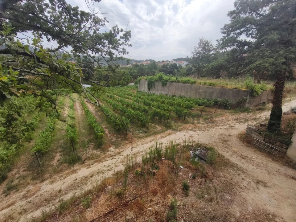 Quinta para Venda em Paço de Sousa Foto 36