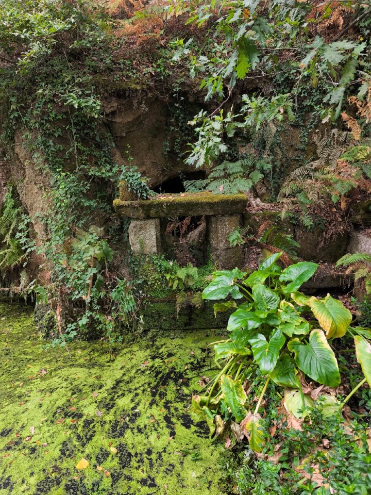 Quinta para Venda em Paço de Sousa Foto 42
