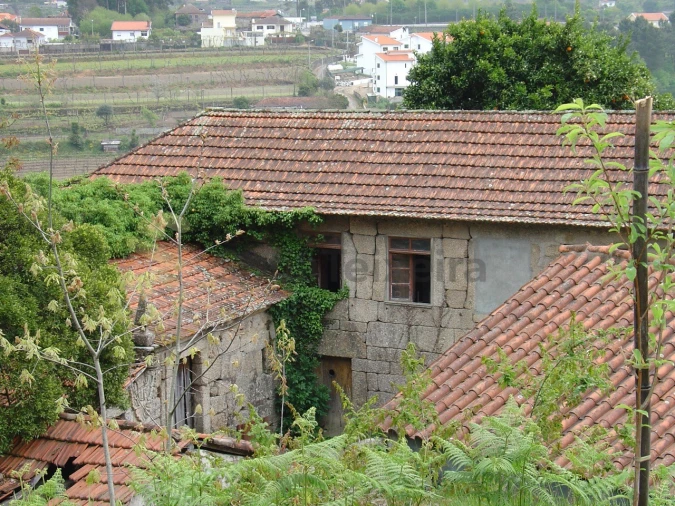 Quinta para Venda em Paço de Sousa Foto 7