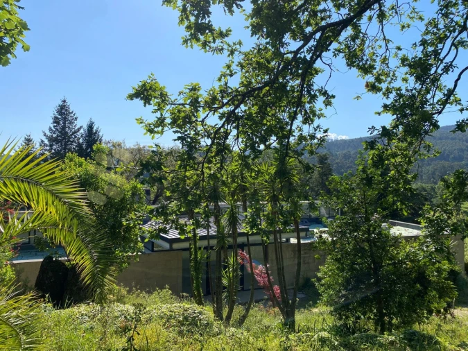 Quinta para Venda em Paço de Sousa Foto 12