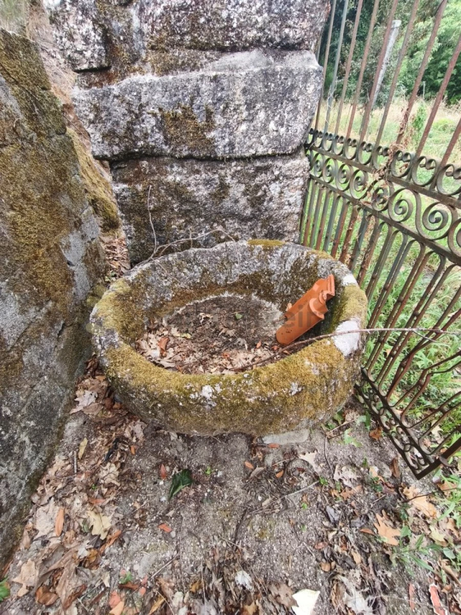 Quinta para Venda em Paço de Sousa Foto 48