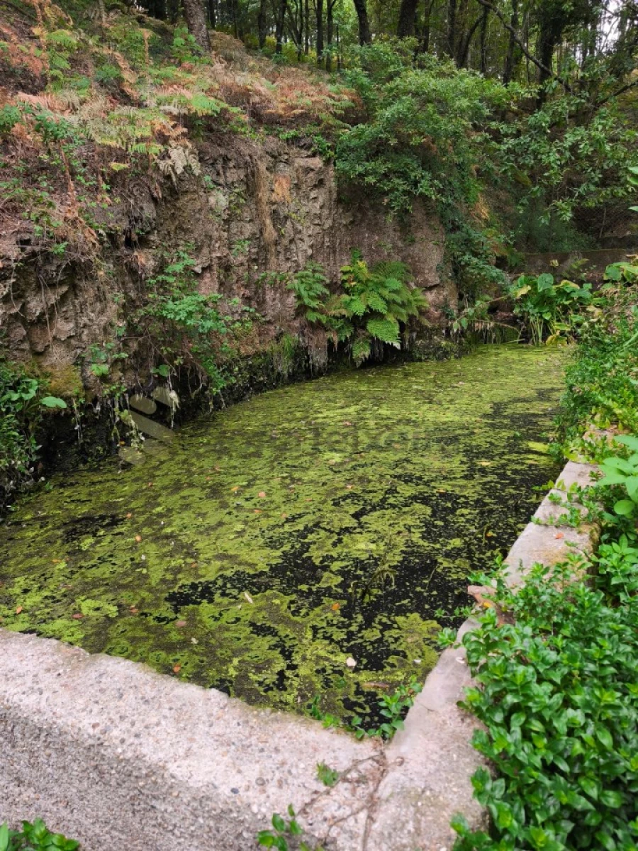 Quinta para Venda em Paço de Sousa Foto 43