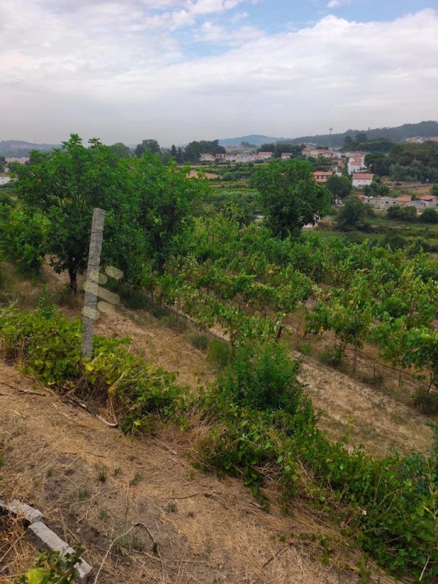 Quinta para Venda em Paço de Sousa Foto 46