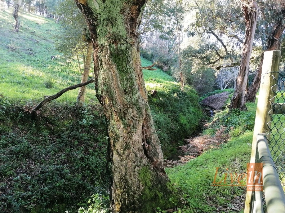 Quinta T14 para Venda em Bucelas Foto 26