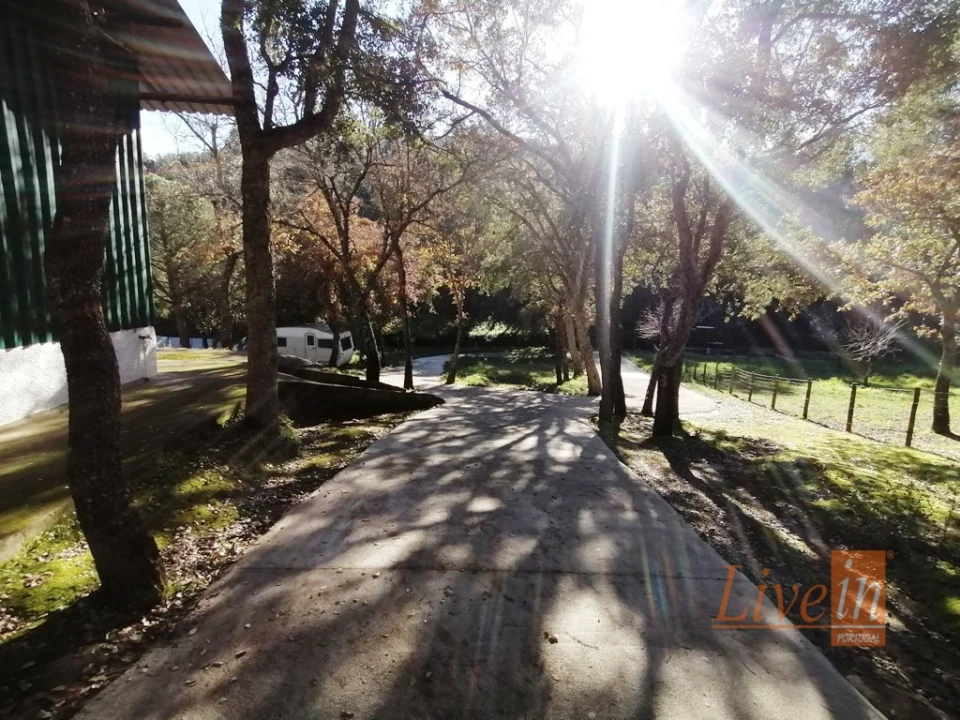 Quinta T14 para Venda em Bucelas Foto 29