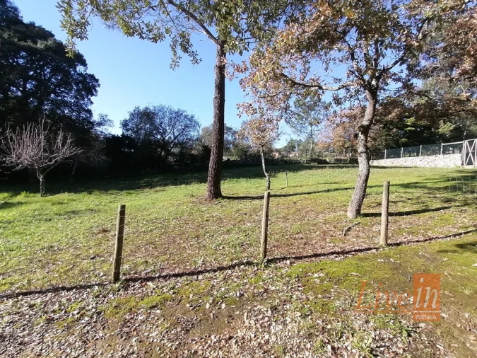 Quinta T14 para Venda em Bucelas Foto 23