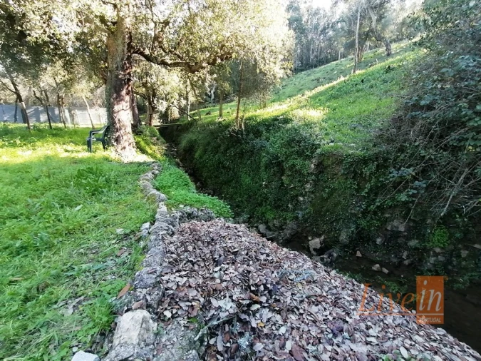 Quinta T14 para Venda em Bucelas Foto 24