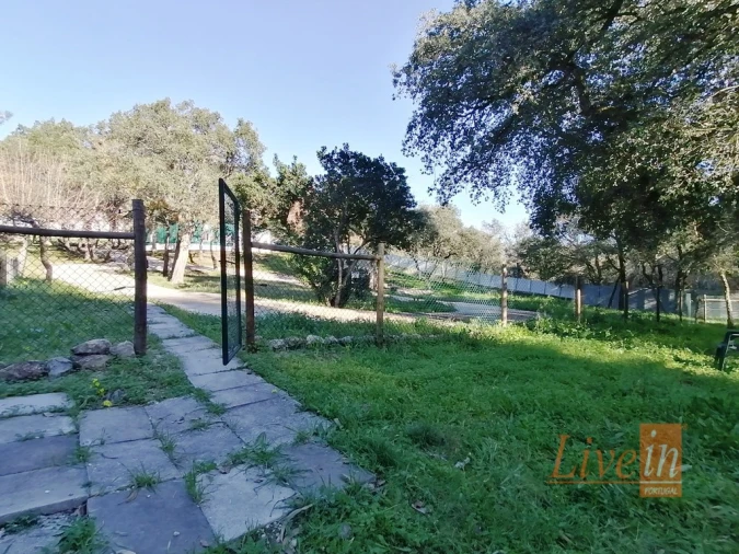 Quinta T14 para Venda em Bucelas Foto 25