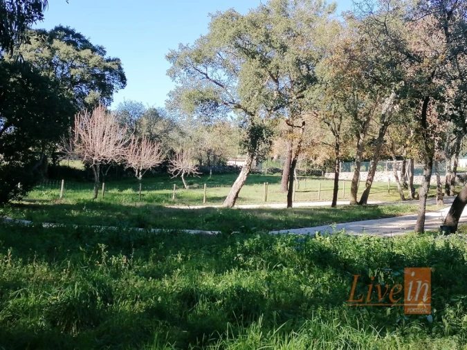 Quinta T14 para Venda em Bucelas Foto 27